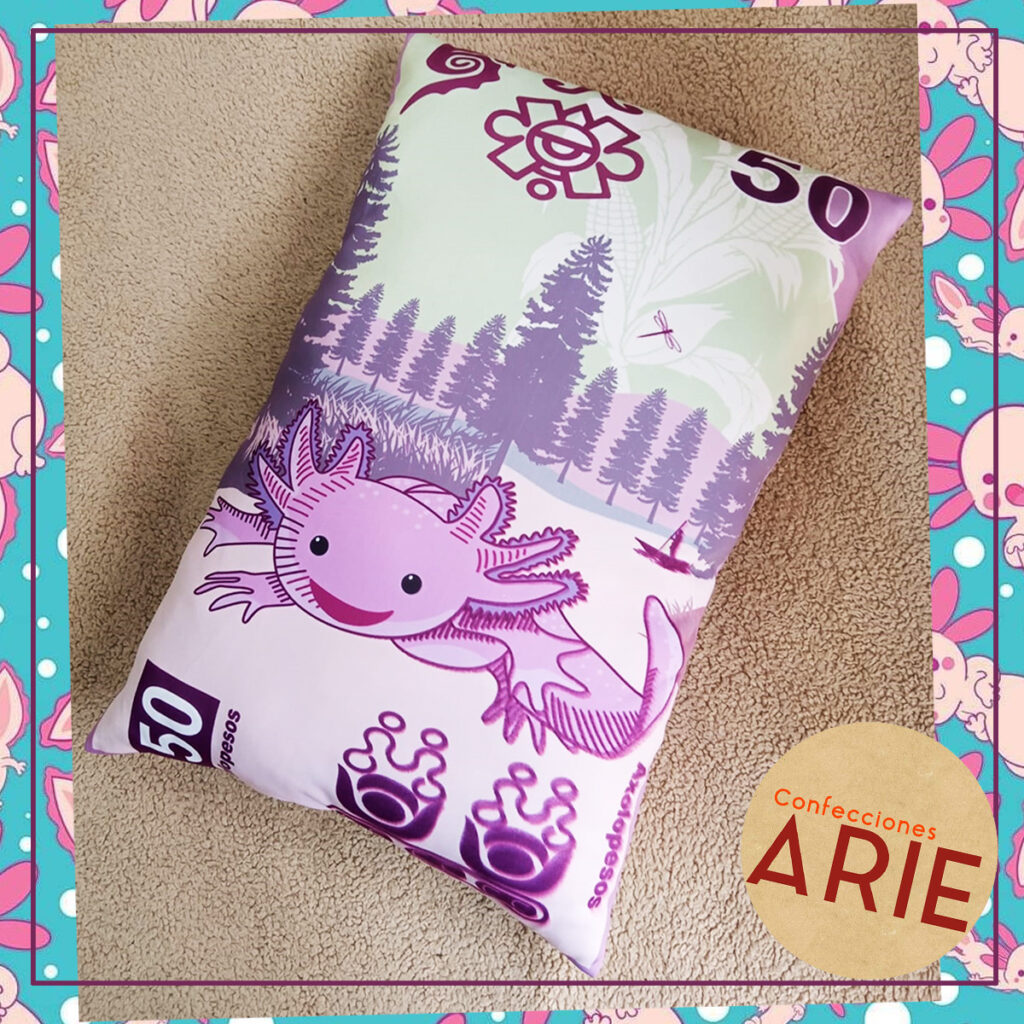 Almohada Ajolopeso (Billete 50 pesos)