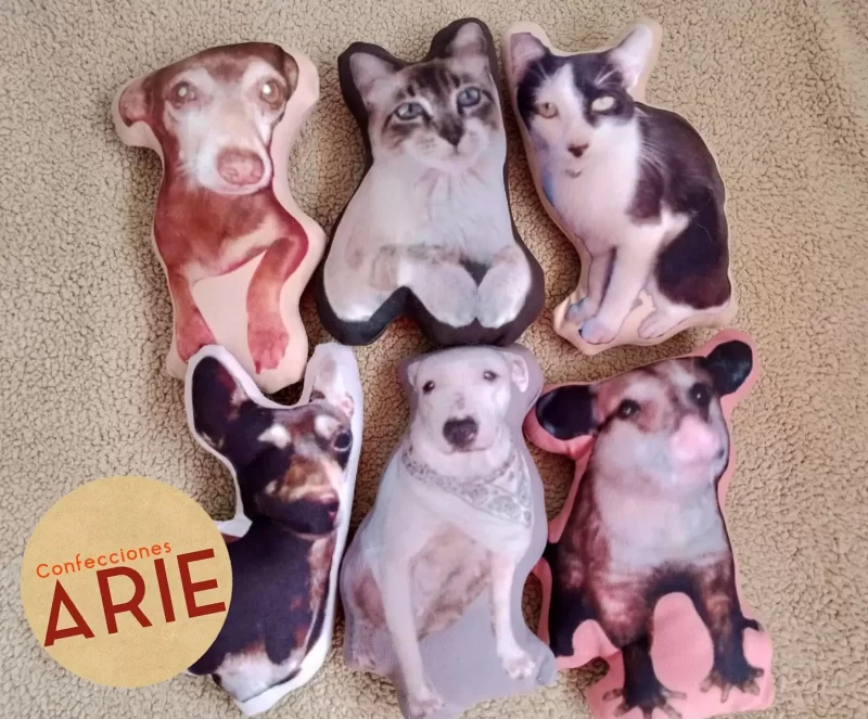 Cojines de mascotas